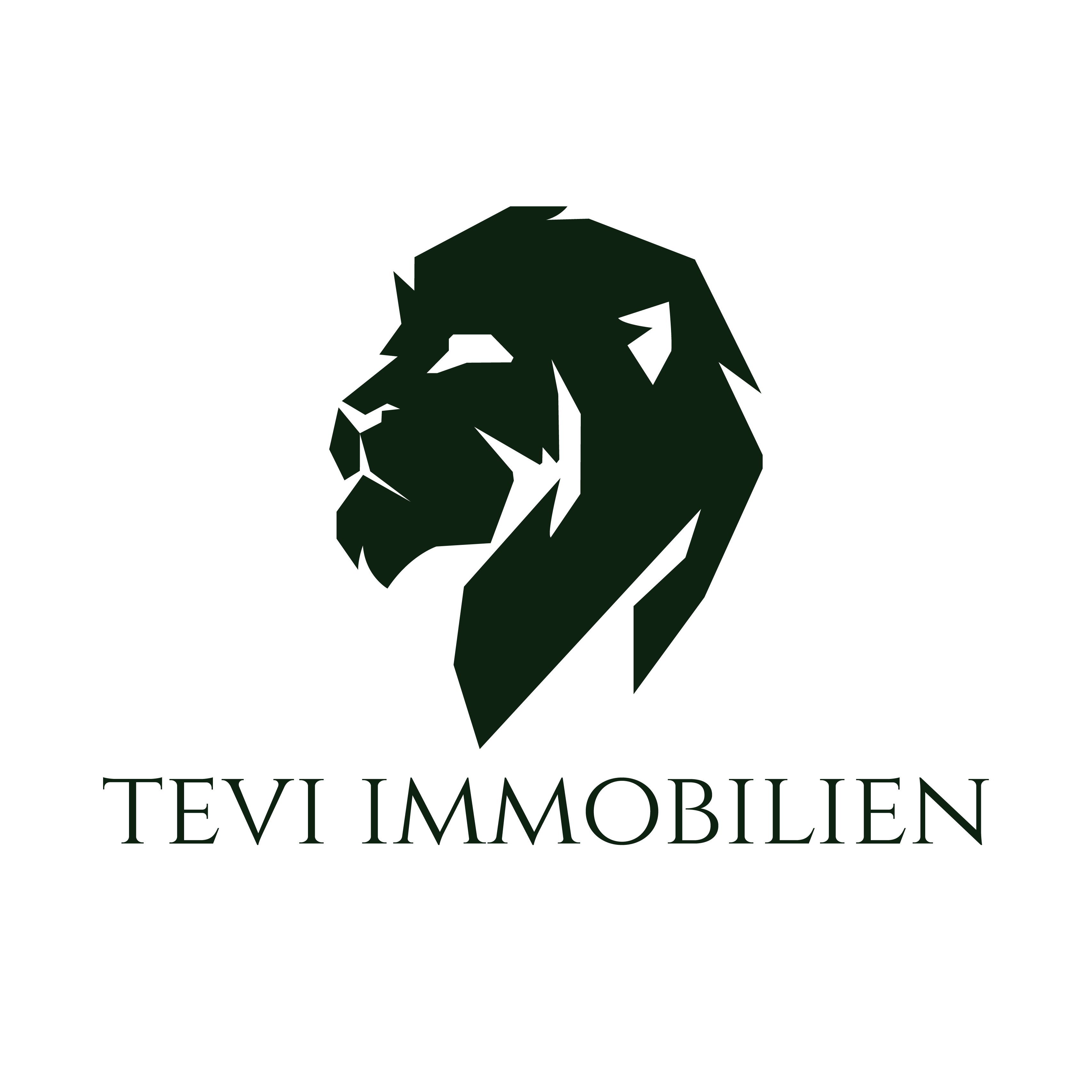Immobilienmakler-aschaffenburg-tevi-immonilien